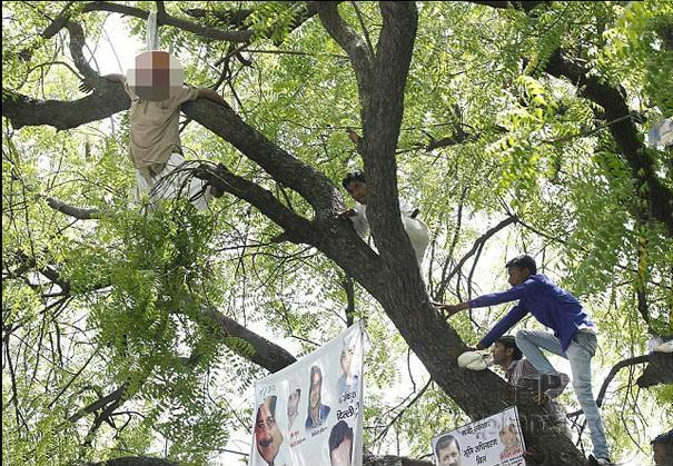 首吊り自殺者の遺体を下ろそうと木に登る人