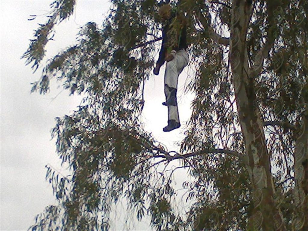 木の上で首を吊った中東の自殺者